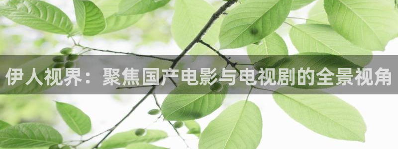 97免费超碰：伊人视界：聚焦国产电影与电视剧的全景视角