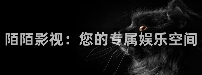 97超碰总站