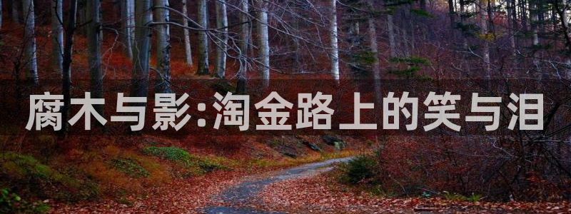 超碰在线不卡一区
