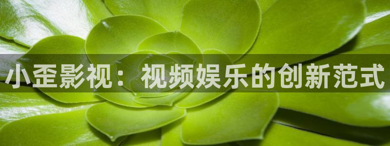 超碰在线国